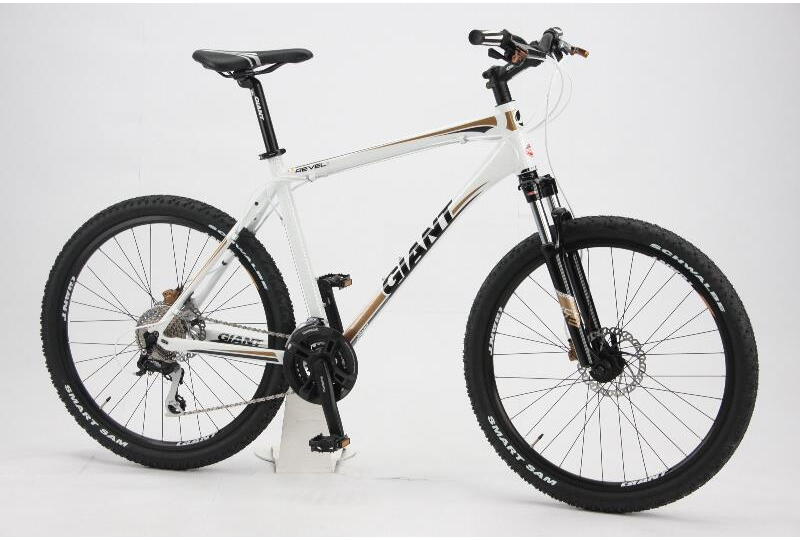 Giant Revel 1 Disc He.MTB 24K 2011 Rahmenh he 41 cm